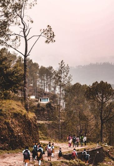 Купить диплом менеджера в Лобне